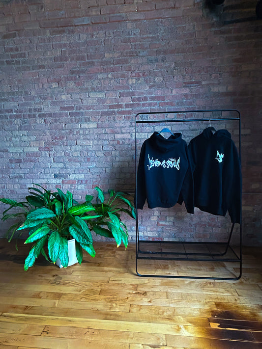 Genesis Chapter 1 Hoodie